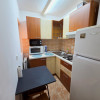 Apartament 1 camera | 34 mp | zona FSEGA | Iulius Mall thumb 4