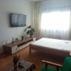 Apartament 1 cameră | 40 mp | Zona străzii Vânătorului, Gruia thumb 1