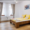 Apartament de inchiriat cu doua camere in inima orasului ! Zona Parcul Central  thumb 12