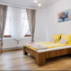 Apartament de inchiriat cu doua camere in inima orasului ! Zona Parcul Central  thumb 13