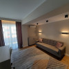 Penthouse | LUX | 150 Mp | cartierul Buna Ziua thumb 2