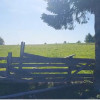 Ocazie unică! Teren cu view deosebit în Mărișel – Ideal pentru casă de vacanță thumb 2