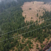 Teren în inima naturii lângă Lacul Beliș! Zonă cu potențial ridicat thumb 1