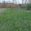 Teren intravilan 1800 mp – Șutu, comuna Ciurila thumb 1
