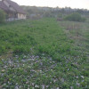 Teren intravilan 1800 mp – Șutu, comuna Ciurila thumb 3