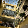 SPATII BIROU LOCATIE ULTRACENTRALA  thumb 9