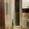 Apartament 2 camere | 48 mp | Zorilor thumb 2