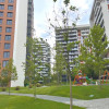 | Apartament 2 camere | 46 mp | Semifinisat | Zona Lidl - Frunzisului | thumb 6