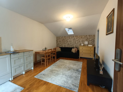 | Duplex Europa | 213 mp | 262 mp teren | Potential Investitional |