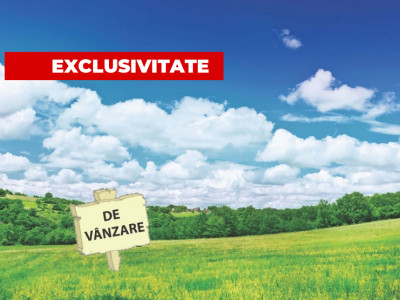 Teren constructii | 6500 mp | 40 ml front | Zona Maramuresului