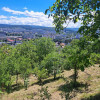 Teren intravilan 1640mp, Grigorescu, zona Hotel Premier, destinatie constructii thumb 6