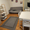 Apartament  1 camera | mobilat/utilat | 25 mp | Zona Strazii Louis Pasteur thumb 3