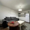 Apartament 1 camera | 28 mp | zona Piata Muzeului thumb 3